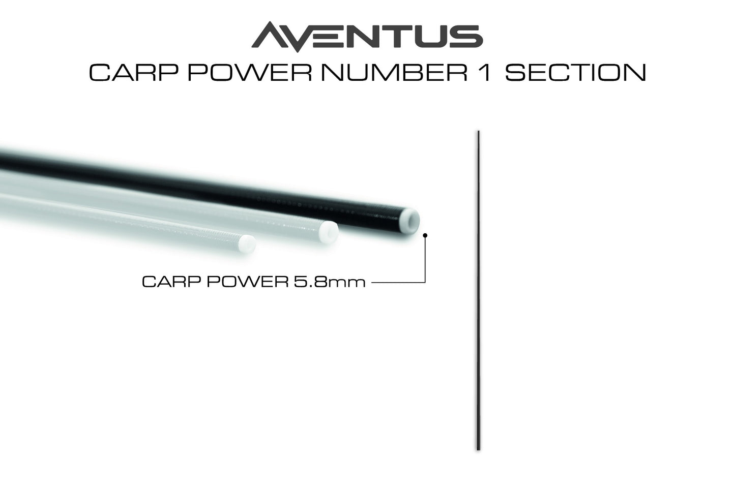 Aventus Carp Power Section No.1