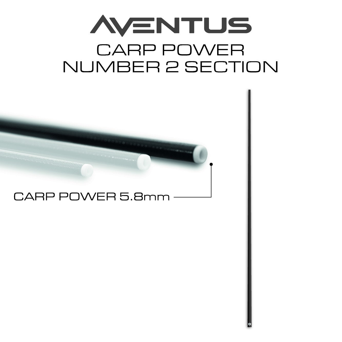 Aventus Carp Power Section No.2