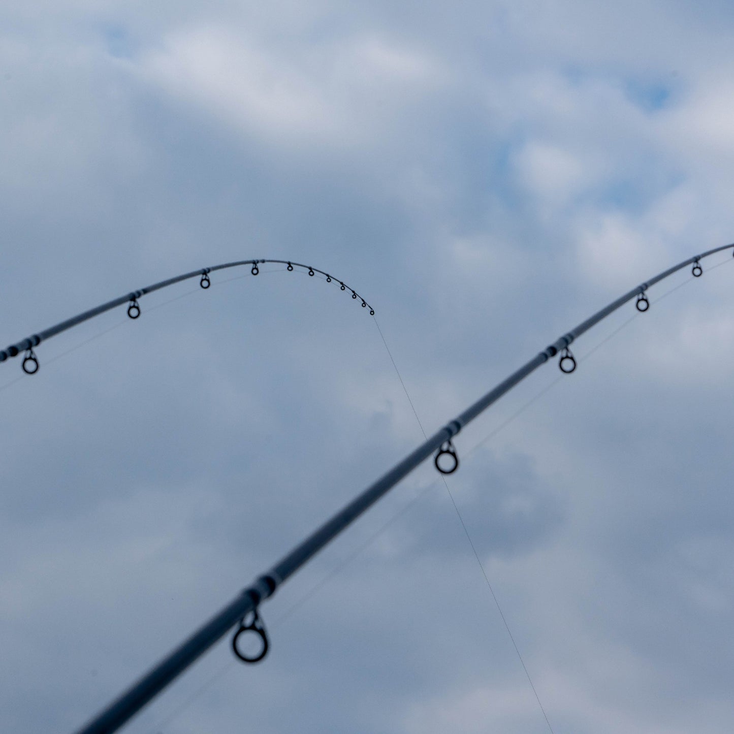A-Class 13ft Distance Feeder Tip