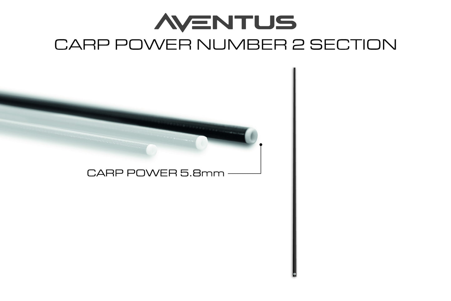 Aventus Carp Power Section No.2