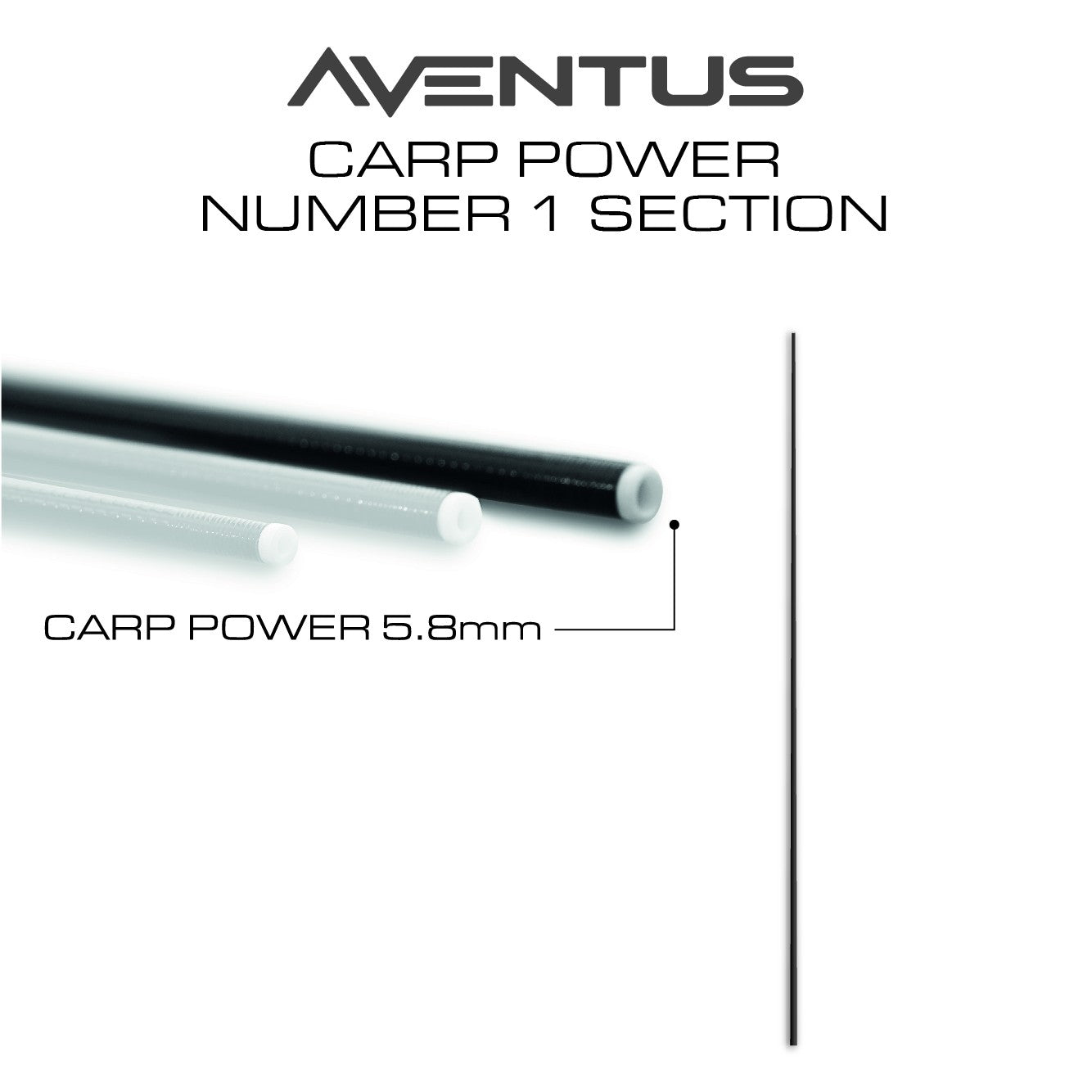 Aventus Carp Power Section No.1