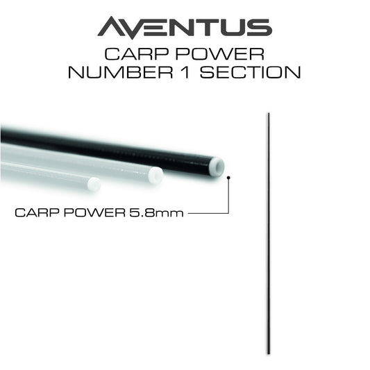 Aventus Carp Power Section No.1