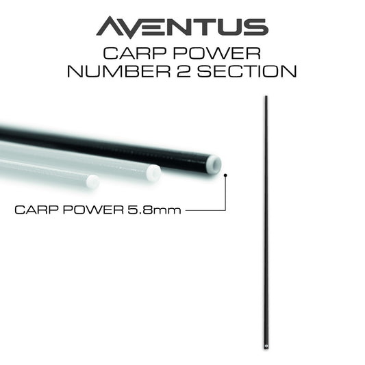 Aventus Carp Power Section No.2